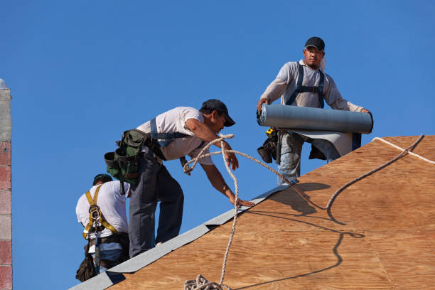 Best Roof Gutter Cleaning  in Horseheads North, NY